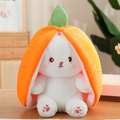 HoppelTraum™ Kuschelhase – Wandelbar