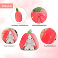 HoppelTraum™ Kuschelhase – Wandelbar
